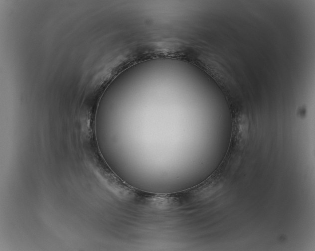 X0000111820615200907301258