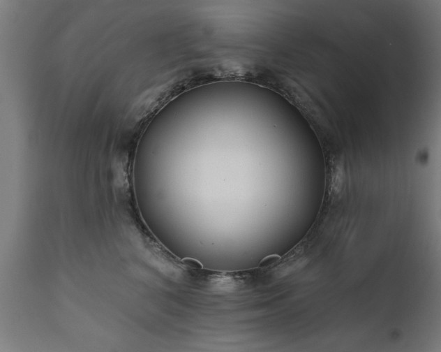 X0000111820616200907301258