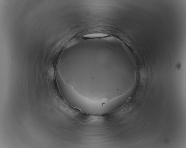 X0000111820617200907301258