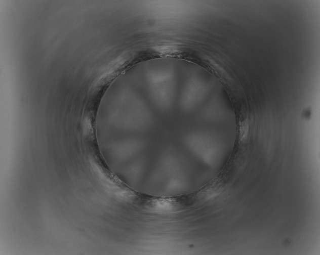 X0000111820618200907301258