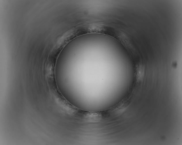 X0000111820619200907301258