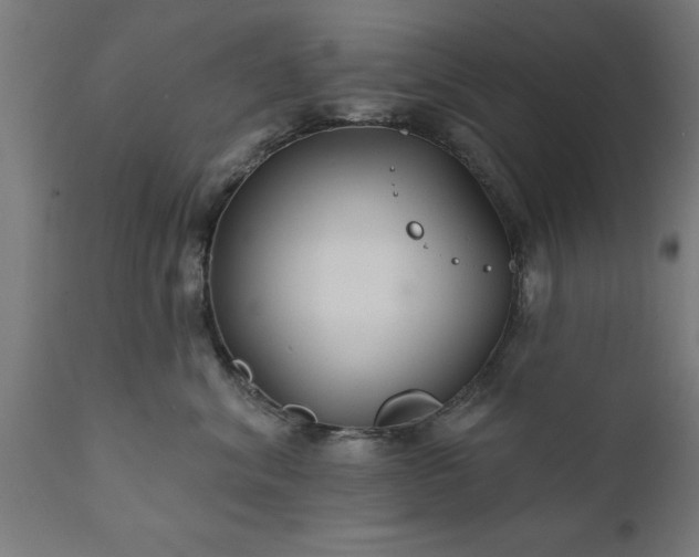 X0000111820620200907301258