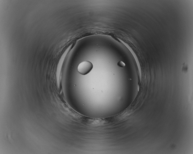 X0000111820621200907301258