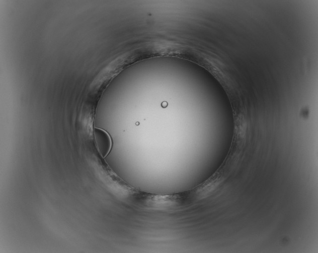 X0000111820622200907301258
