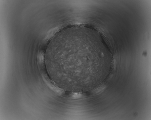 X0000111820623200907301258