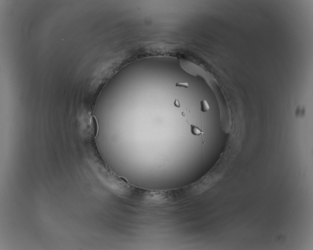 X0000111820624200907301258