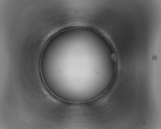 X0000111820625200907301257