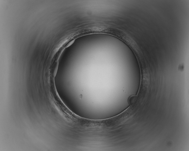 X0000111820626200907301257