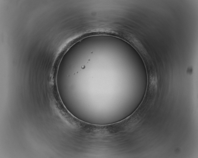 X0000111820628200907301258