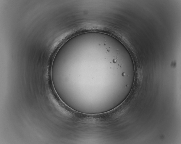 X0000111820629200907301258