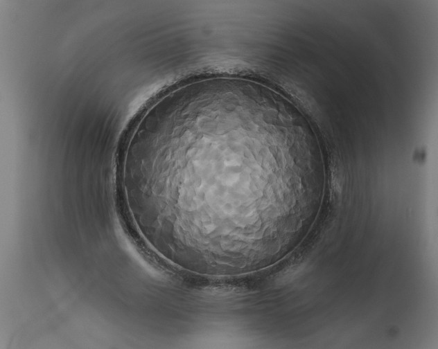 X0000111820630200907301258