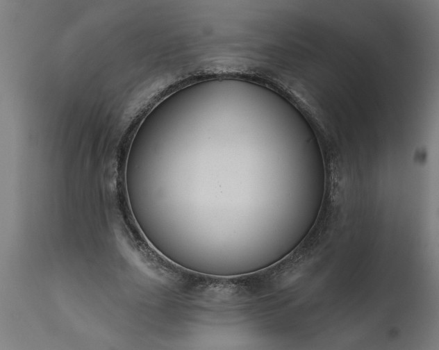 X0000111820631200907301258