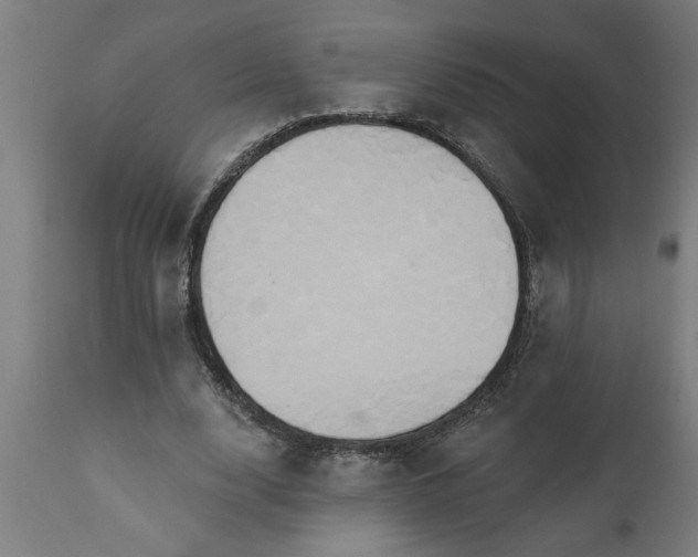 X0000111820632200907301258