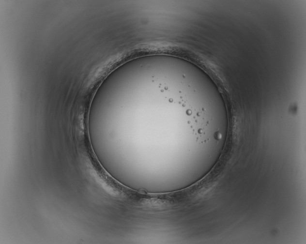 X0000111820633200907301258