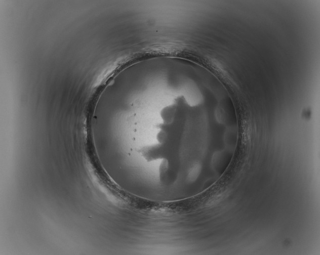 X0000111820634200907301258