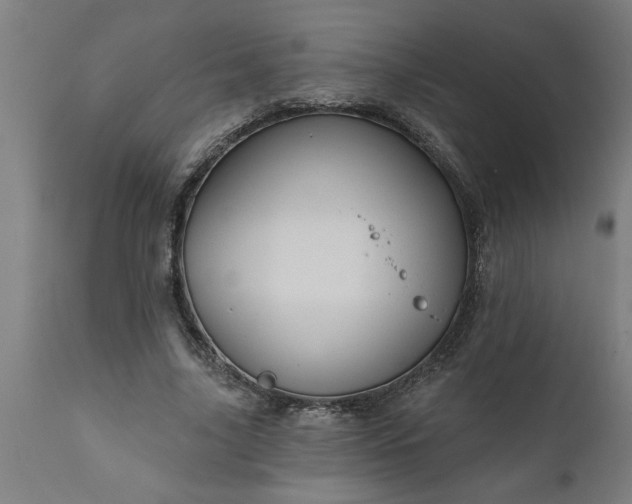 X0000111820635200907301258