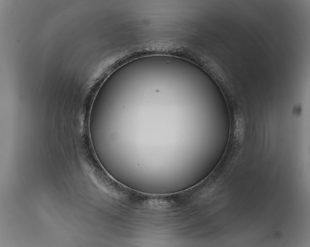 X0000111820636200907301258