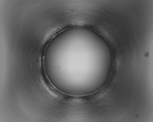 X0000111820638200907301258