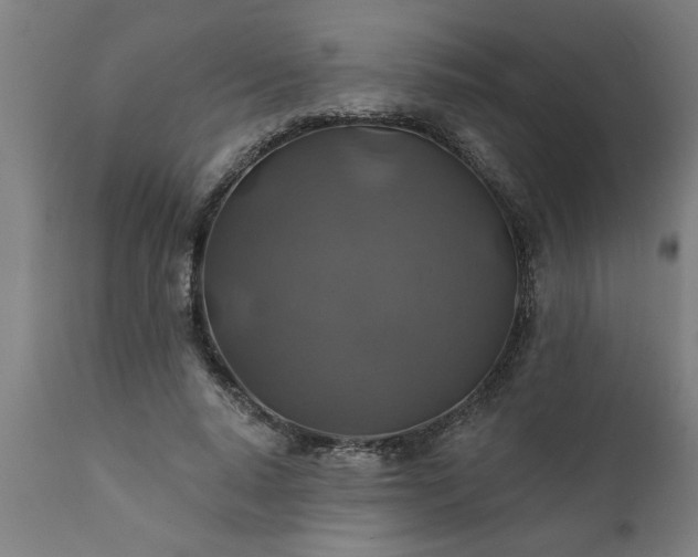 X0000111820640200907301258