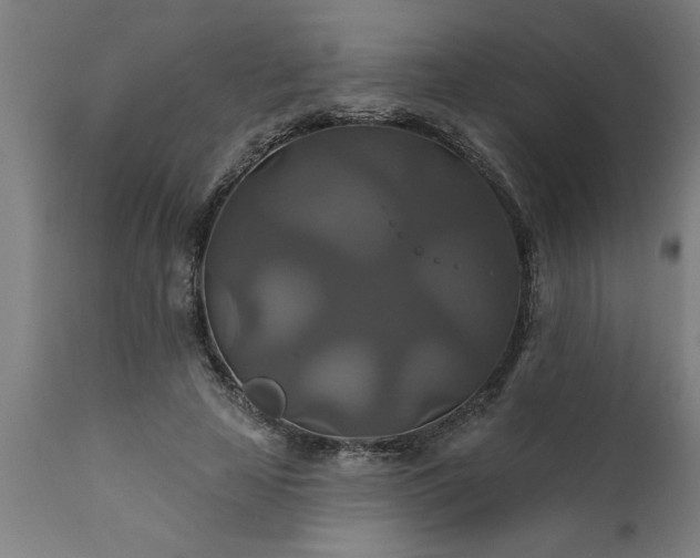 X0000111820641200907301258