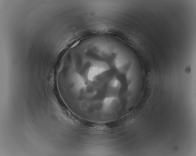 X0000111820642200907301258