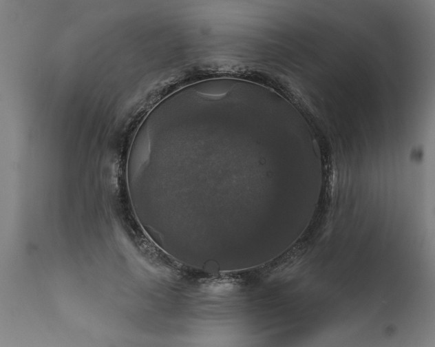 X0000111820643200907301258