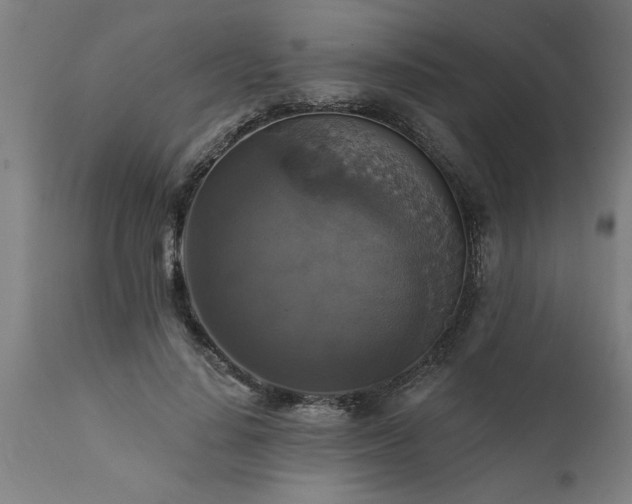 X0000111820644200907301258