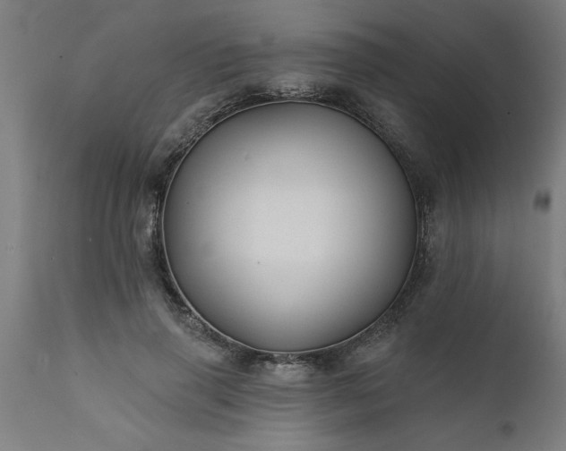 X0000111820645200907301258