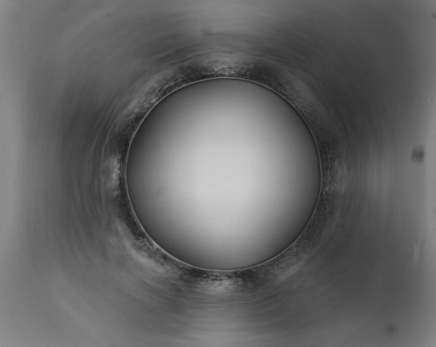 X0000111820646200907301258