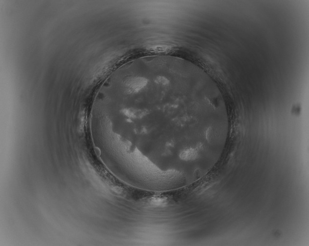 X0000111820647200907301258