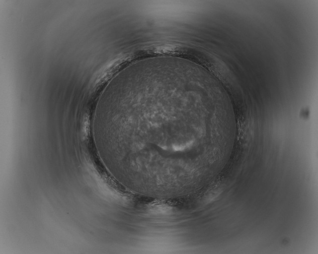 X0000111820648200907301258