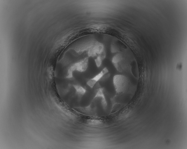 X0000111820649200907301258