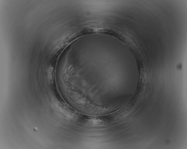 X0000111820650200907301258