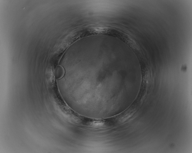 X0000111820651200907301258