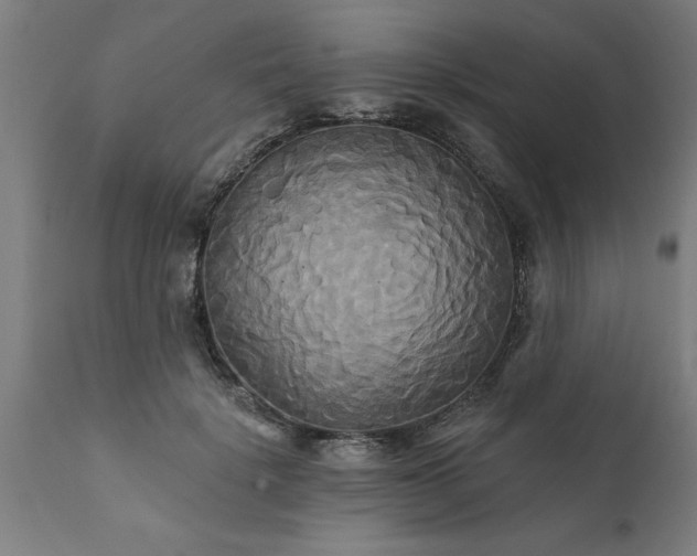 X0000111820652200907301258