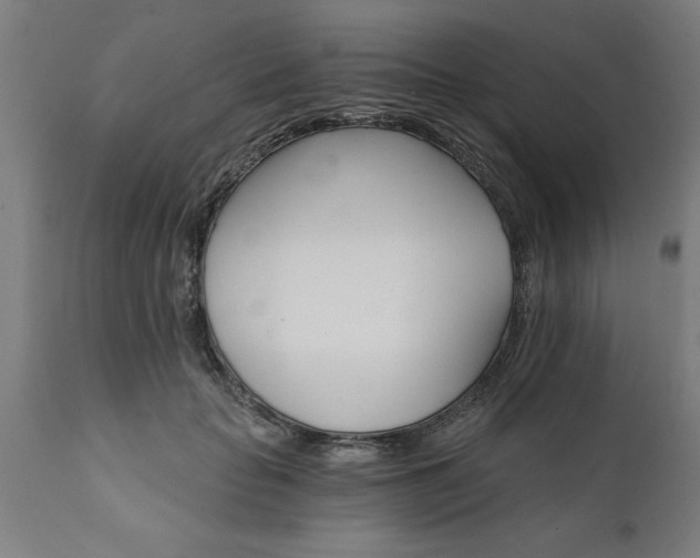 X0000111820653200907301258
