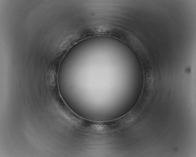 X0000111820654200907301258