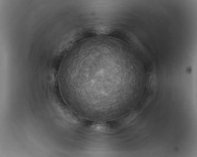 X0000111820655200907301258