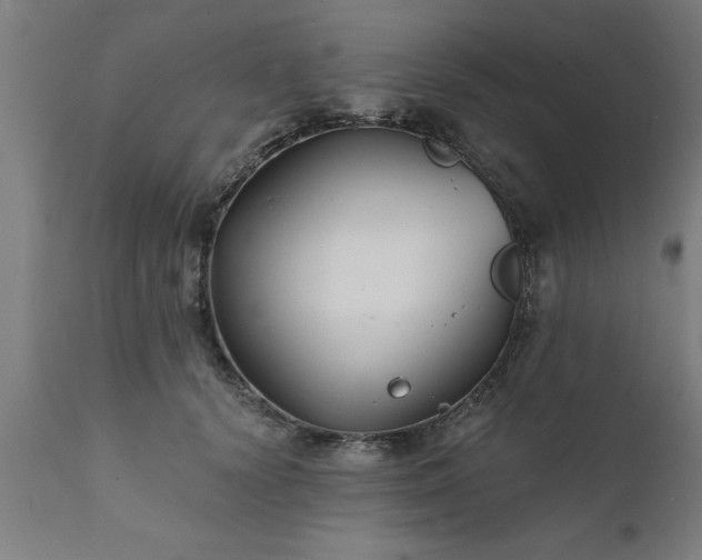 X0000111820656200907301258