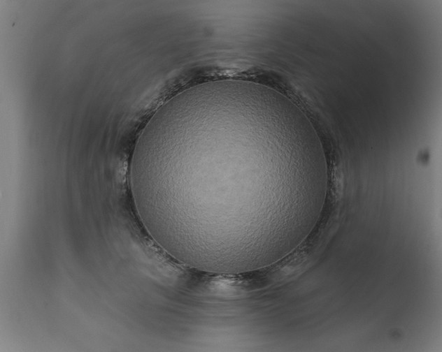 X0000111820657200907301258