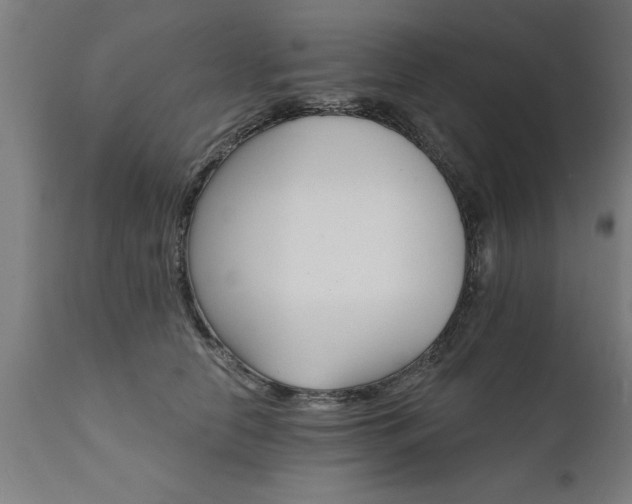 X0000111820658200907301258