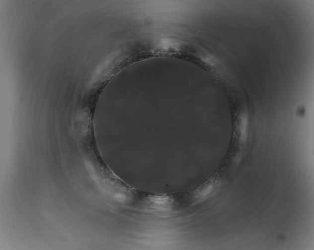 X0000111820659200907301258