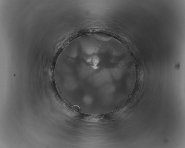 X0000111820661200907301258