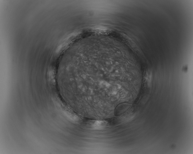 X0000111820663200907301258