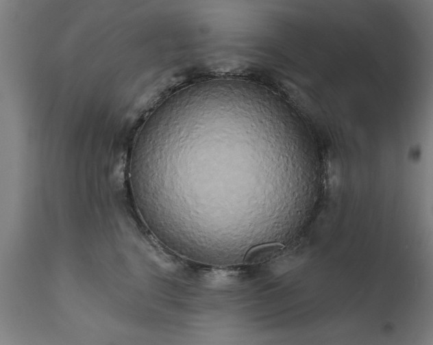 X0000111820664200907301258
