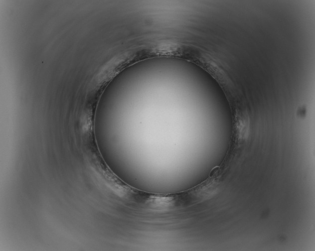 X0000111820665200907301258