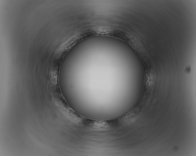 X0000111820666200907301258