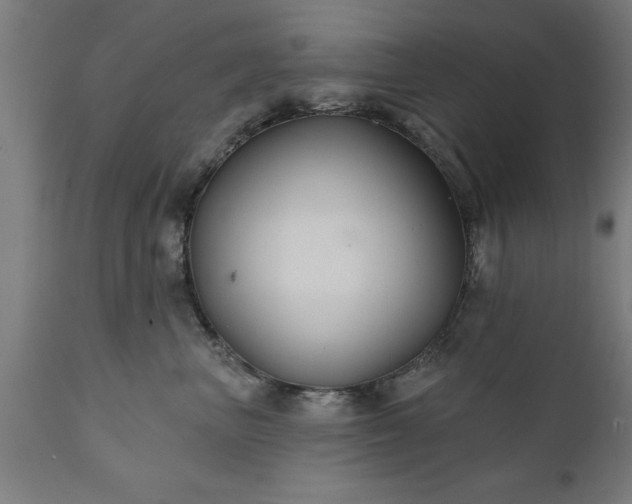 X0000111820667200907301258