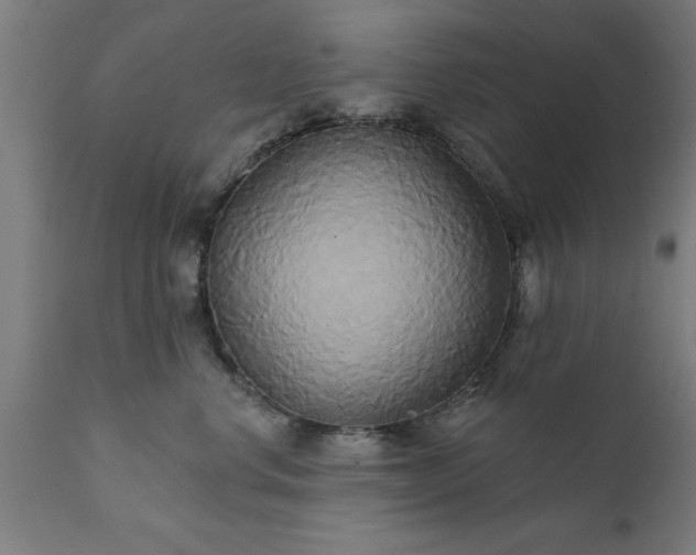X0000111820668200907301258