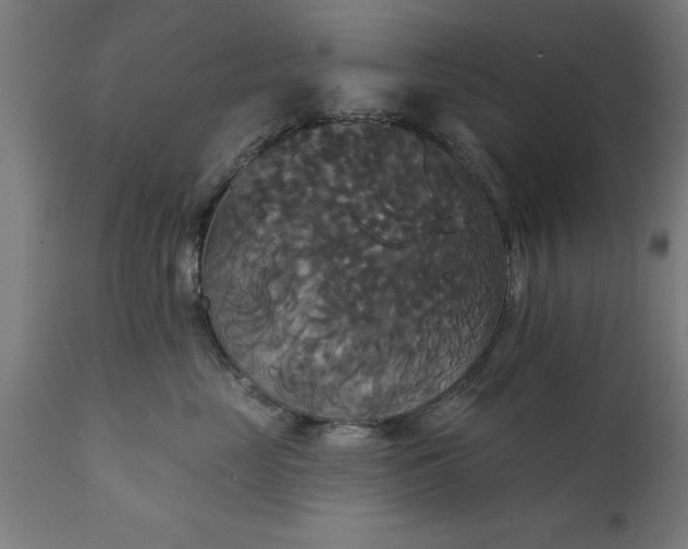 X0000111820669200907301258